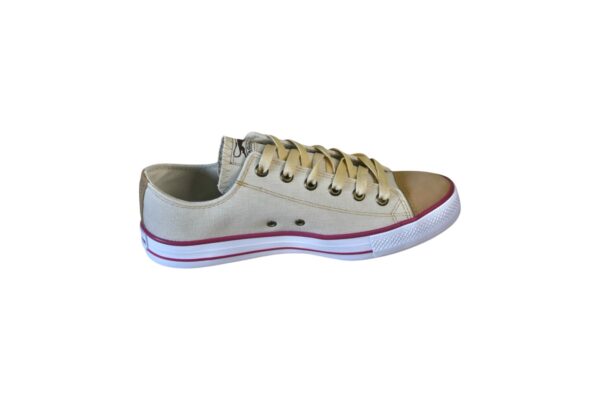 Zapatilla de lona puntera urbana